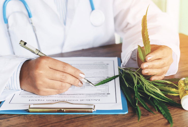 medical marijuana doctor writing cannabis recommendation and holding flower