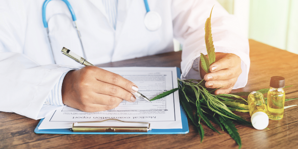 medical marijuana doctor writing cannabis recommendation and holding flower